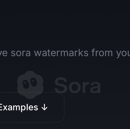 Remove Sora watermark example